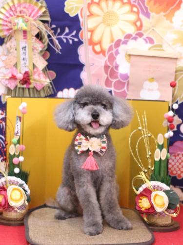 20240119タルトくん